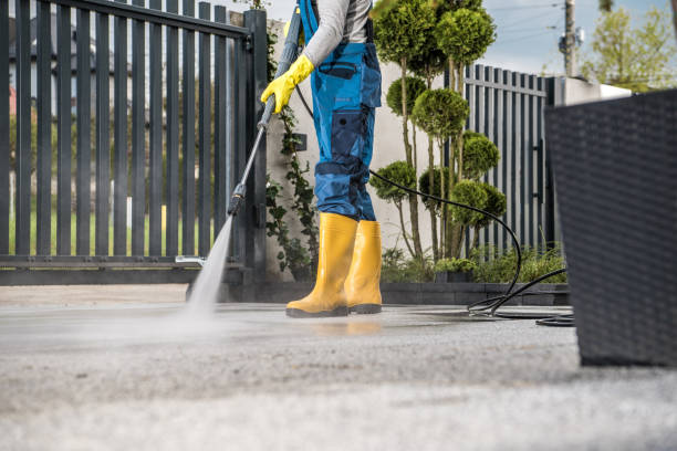Best Gutter Cleaning  in Clanton, AL